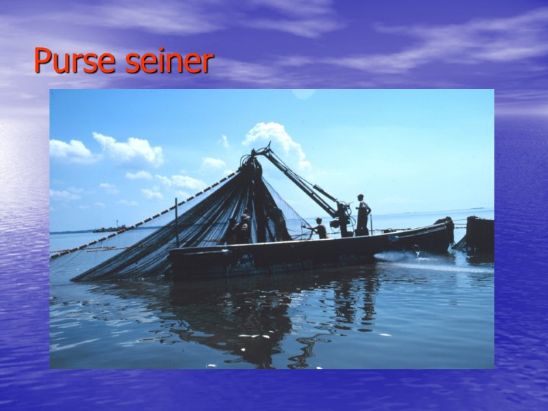 Purse seiner Purse seiner